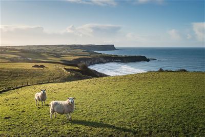 Antrim Coast